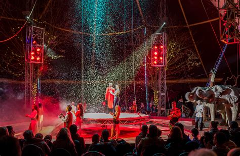 The Circus Night 1xbet